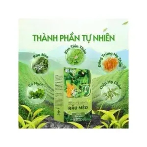 combo 2 hộp trà kim tiền thảo râu mèo