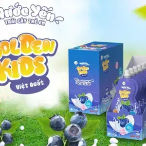 Hộp 6 túi nước yến trái cây NestGia Golden Kids vị việt quất 110ml