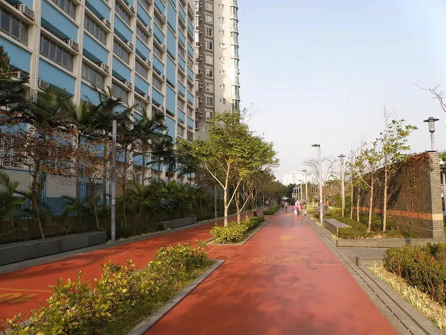 Khuyến nghị 150 phút vận động mỗi tuần của WHO & CDC: Cách phân bổ bài tập tim mạch và kháng lực cho người bận rộn
